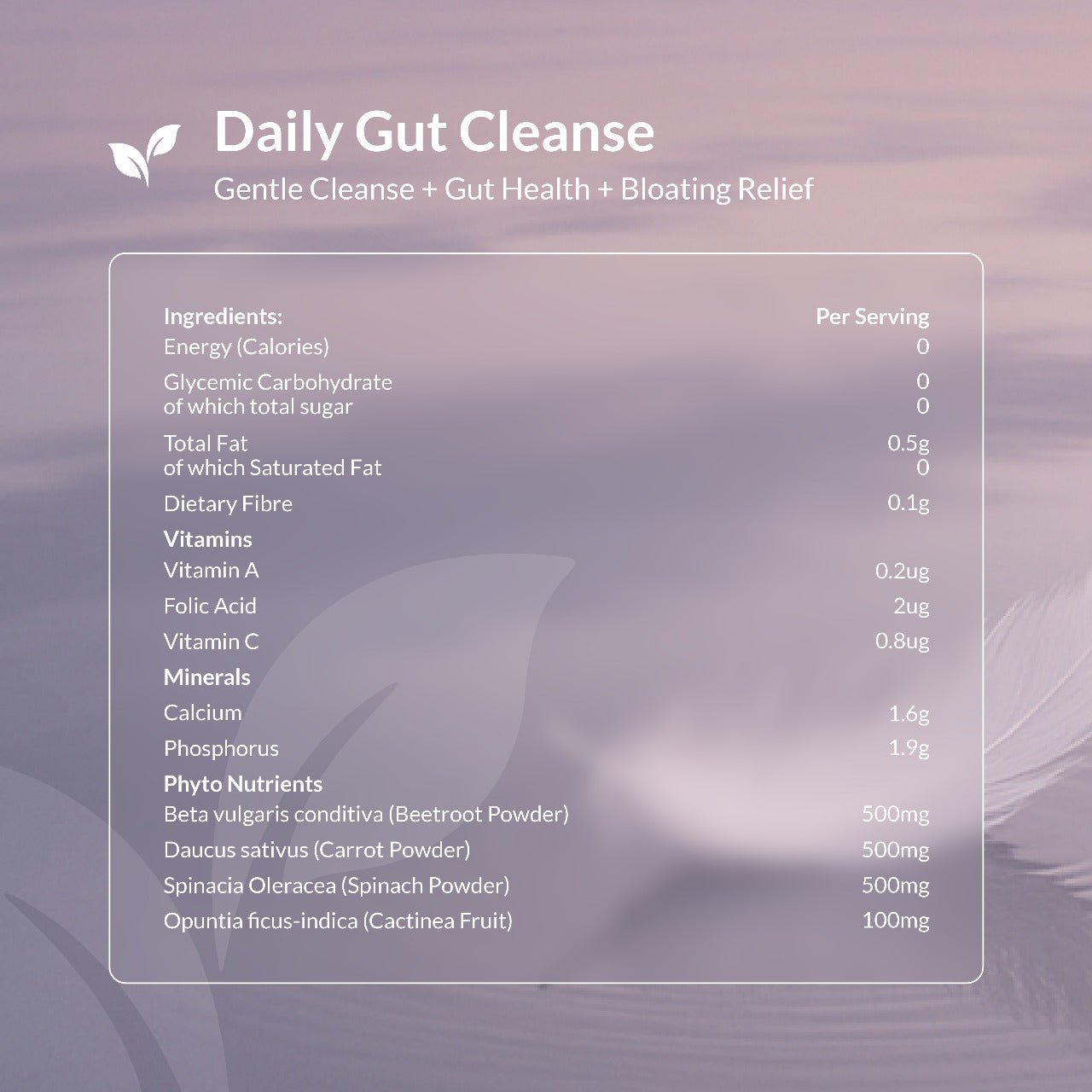 Elevate Daily Gut Cleanse - 150g - Elevate Wellness